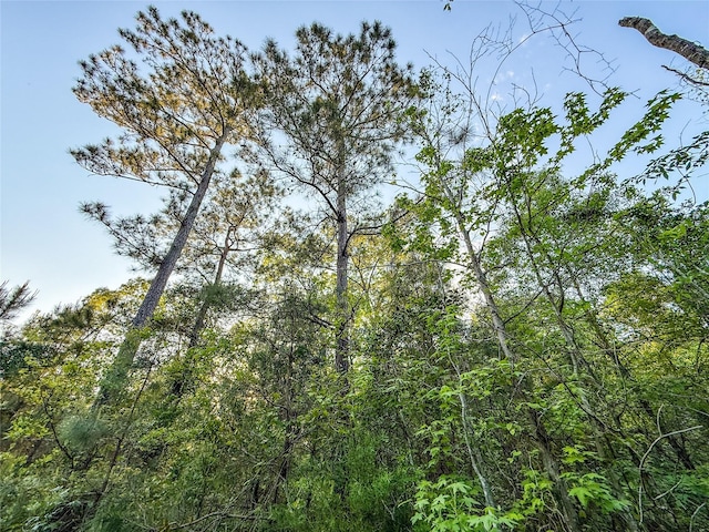 2626 County Road 2621, Marietta, TX 75566 - view of nature