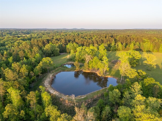 2626 County Road 2621, Marietta, TX 75566 - aerial view with a wooded view and a water view