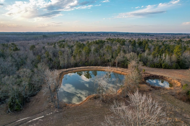 aerial view at dusk with a forest view and a water view