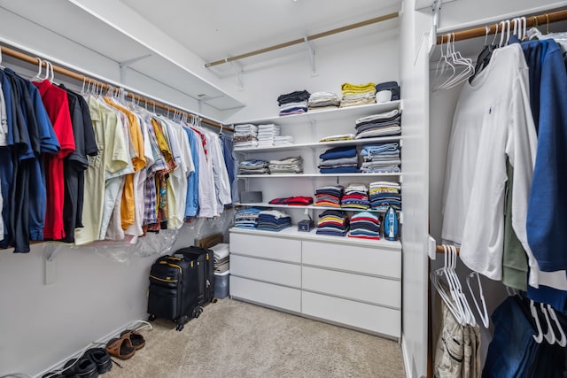 spacious closet featuring carpet floors