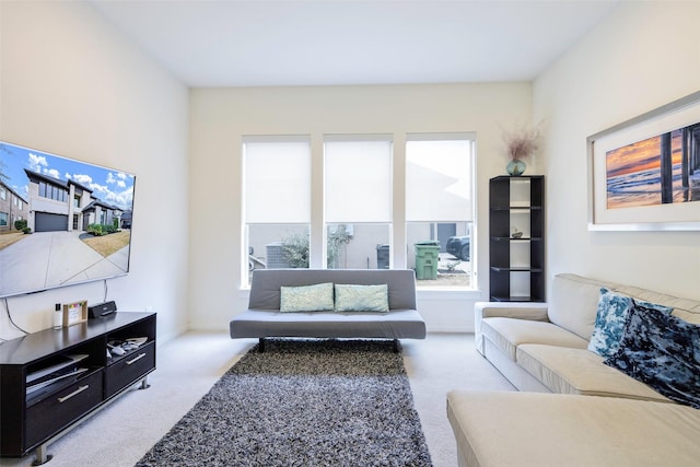 living area with carpet floors