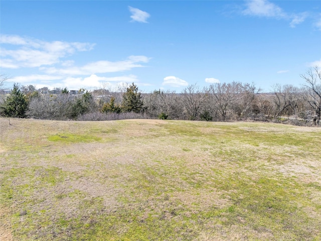 view of yard with a rural view