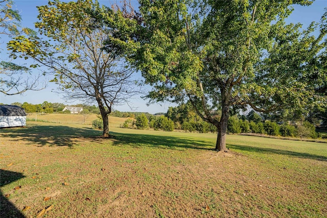 view of yard with an outbuilding and a storage shed