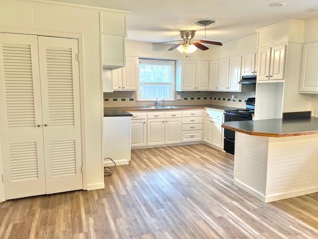 kitchen with visible vents, a sink, black range oven, under cabinet range hood, and backsplash