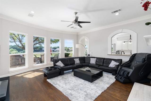 living area featuring dark wood-style floors, ceiling fan, visible vents, and crown molding