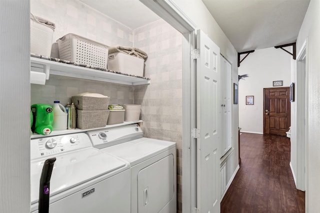 laundry room featuring dark wood-style floors, laundry area, and separate washer and dryer