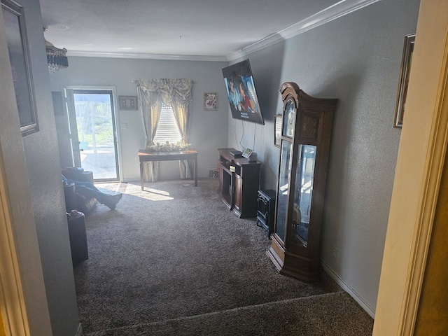 interior space with a textured wall, carpet flooring, and crown molding