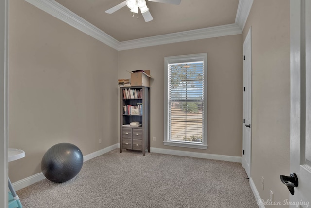 exercise room with plenty of natural light, ornamental molding, and carpet