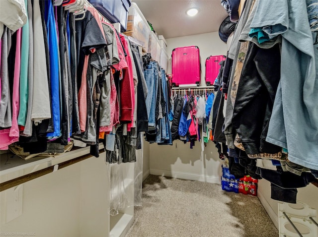 spacious closet featuring carpet flooring