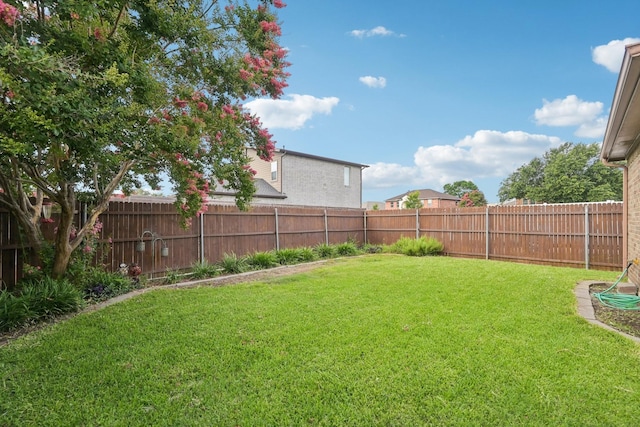 8502 Linda Vista Dr, Rowlett, TX 75088 - view of fenced backyard