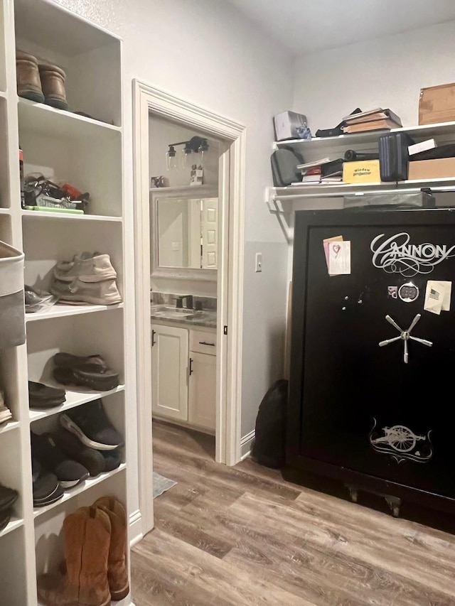 walk in closet with wood finished floors