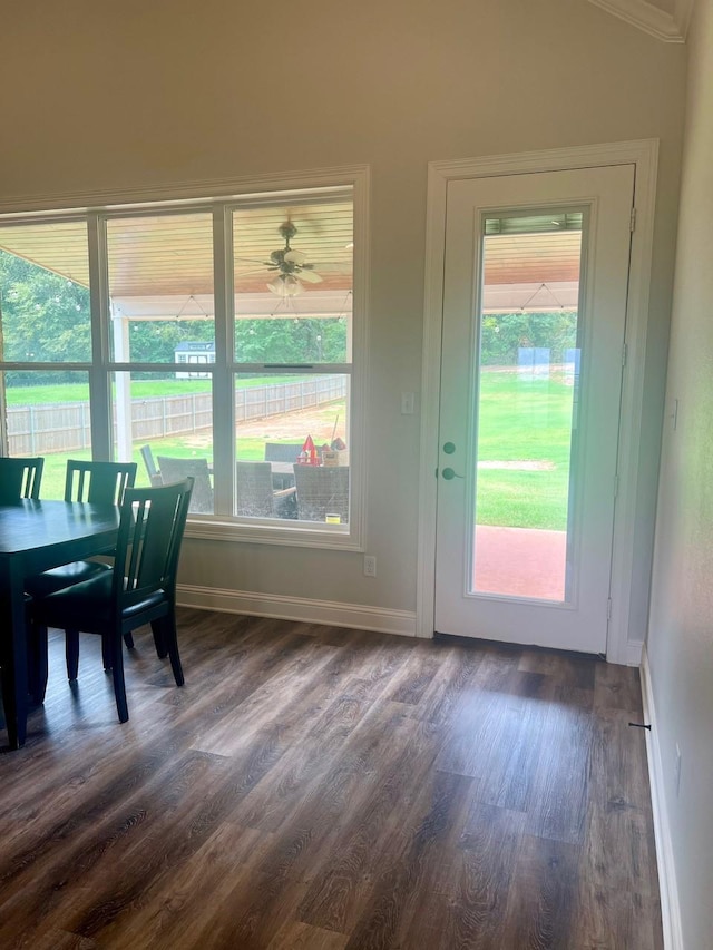 entryway with plenty of natural light, baseboards, and dark wood finished floors