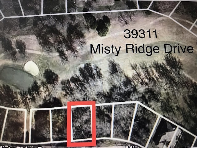 39311 Misty Ridge Dr, Whitney TX, 76692 land for sale