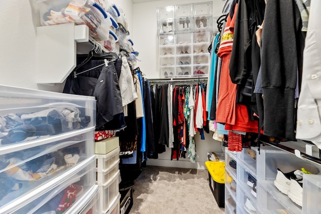 spacious closet with carpet