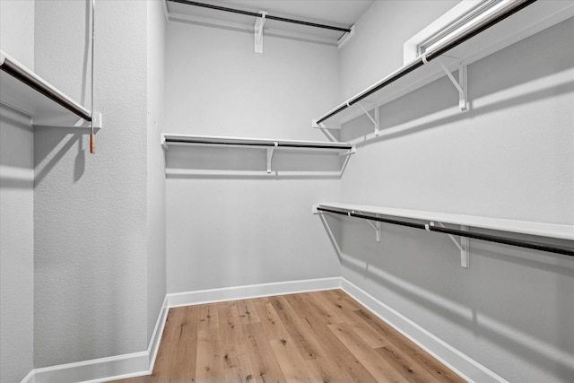 spacious closet featuring light wood finished floors