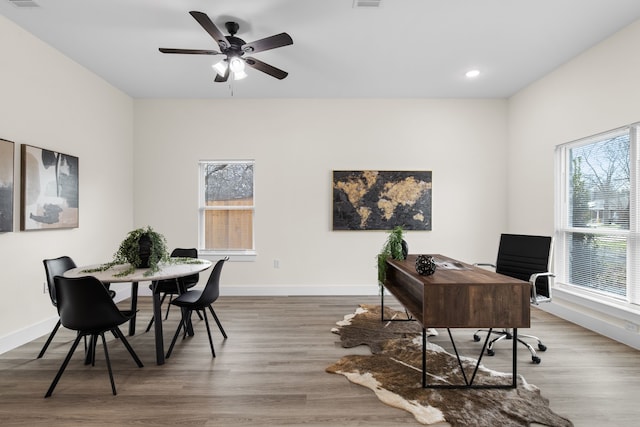 office space with a healthy amount of sunlight, baseboards, and wood finished floors