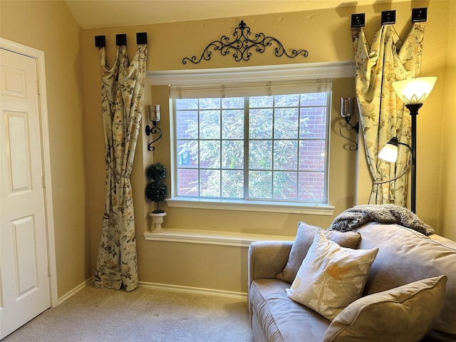 living area with carpet, plenty of natural light, and baseboards