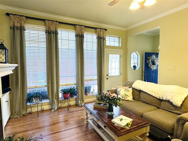 living room featuring a ceiling fan, wood-type flooring, and crown molding