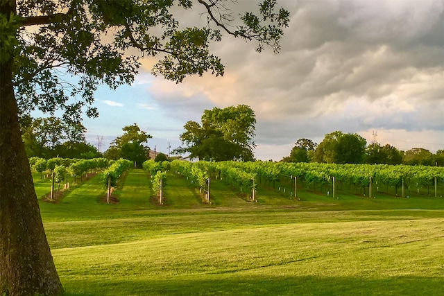 view of community with a rural view and a lawn