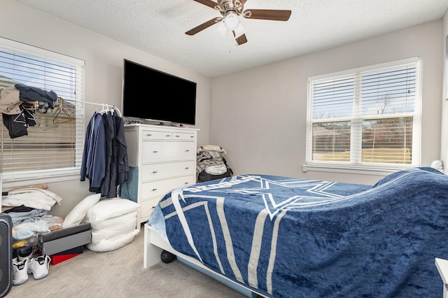 carpeted bedroom with a ceiling fan, multiple windows, and a textured ceiling