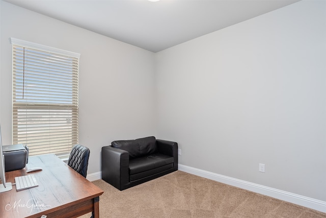 office space with carpet floors and baseboards