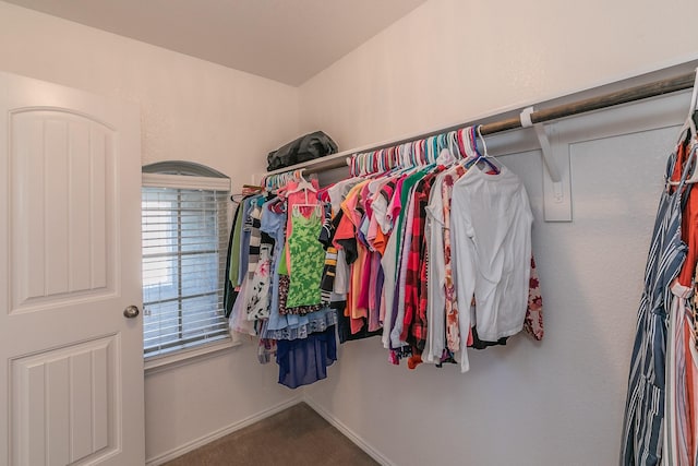 walk in closet featuring carpet flooring