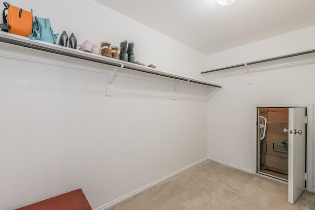 spacious closet with light colored carpet