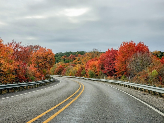 view of road featuring a wooded view