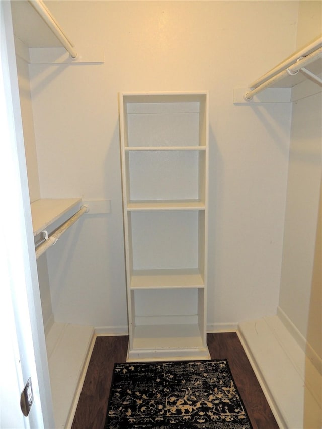 spacious closet featuring dark wood-type flooring