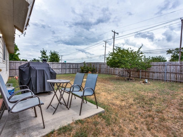 view of yard with a patio area and a fenced backyard