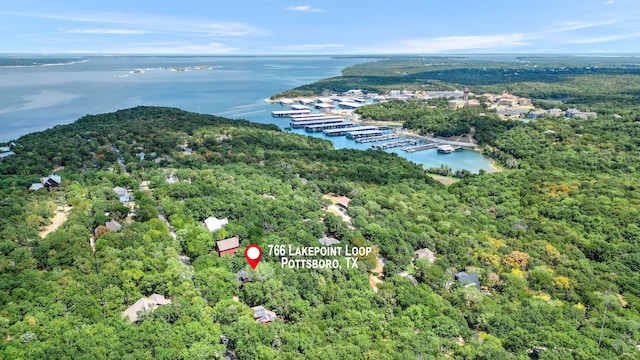 drone / aerial view with a water view and a view of trees