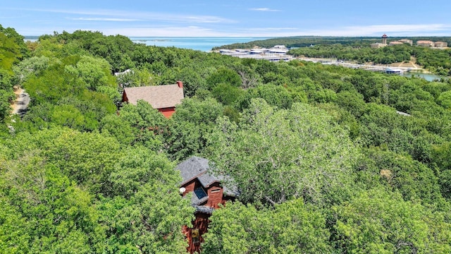 aerial view with a water view and a wooded view