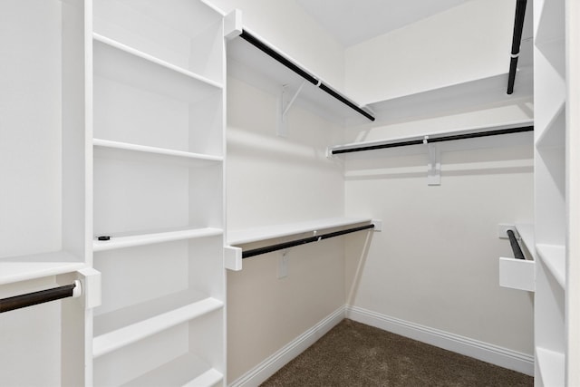 walk in closet featuring dark colored carpet