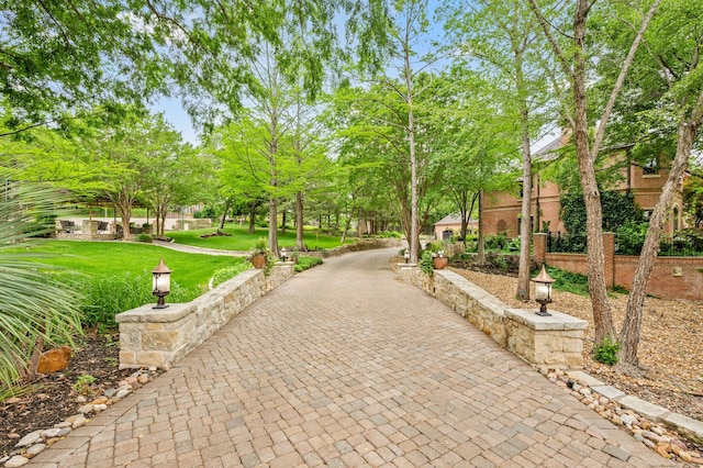 900 Kingsbury Way, Southlake, TX 76092 - view of home's community with a yard and decorative driveway