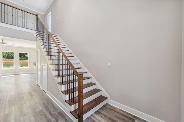 stairs featuring ceiling fan, a towering ceiling, baseboards, and wood finished floors