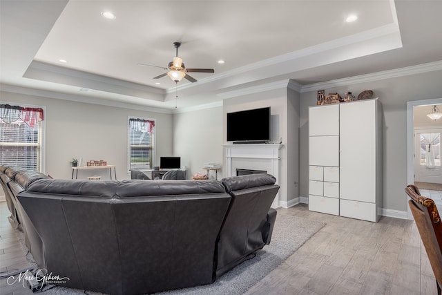 living room featuring a tray ceiling, plenty of natural light, and light wood-style flooring