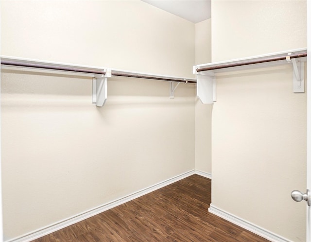 302 Triple Crown Ln, Ponder, TX 76259 - walk in closet featuring dark wood-style floors