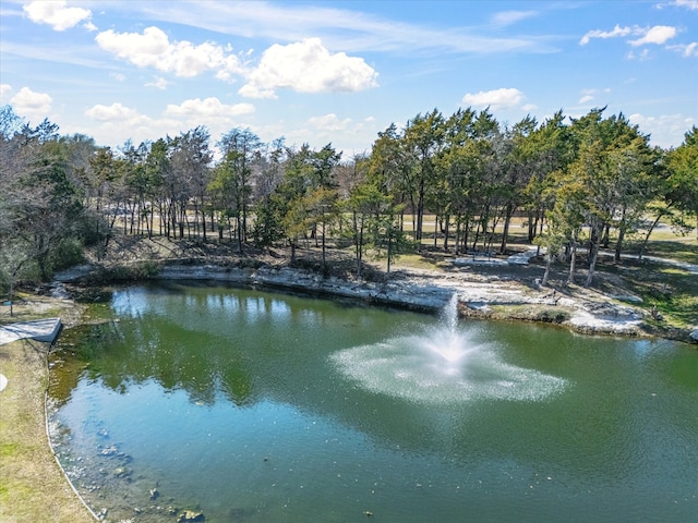 water view