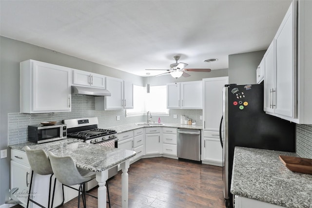 kitchen with under cabinet range hood, a peninsula, a sink, appliances with stainless steel finishes, and backsplash