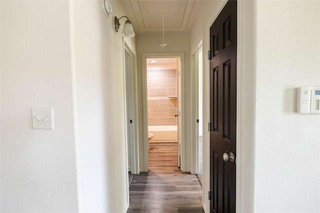 corridor featuring attic access and dark wood-type flooring
