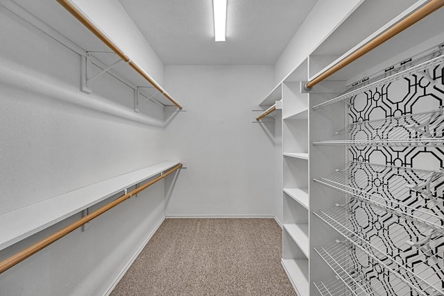 walk in closet with carpet floors