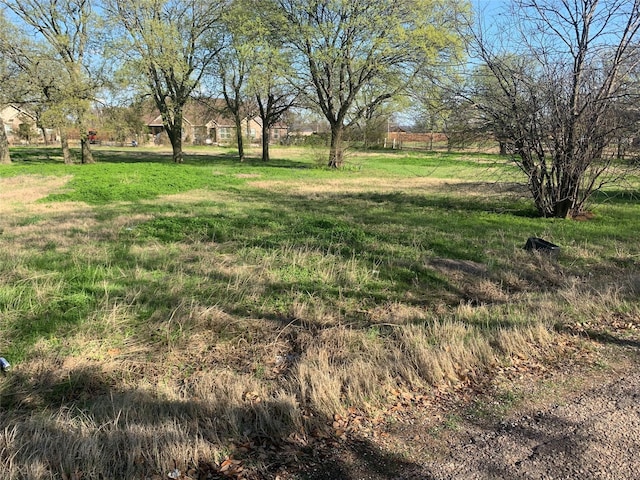 713 N Lamar, Tioga TX, 76271 land for sale