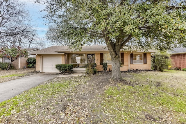 ranch-style home with a front yard, concrete driveway, brick siding, and an attached garage