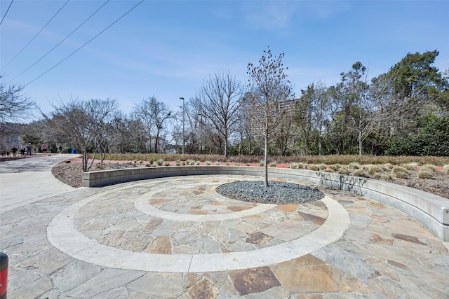 view of community with a patio