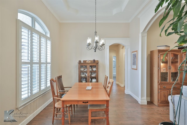 dining area featuring arched walkways, a tray ceiling, wood finished floors, and a wealth of natural light