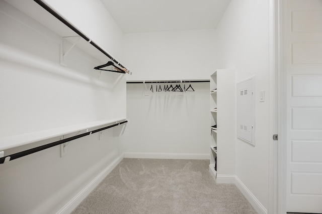 walk in closet with light carpet