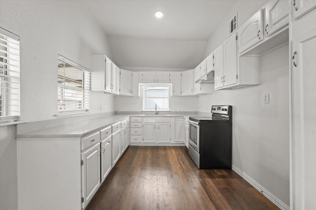 kitchen with electric range, dark wood finished floors, vaulted ceiling, under cabinet range hood, and a sink