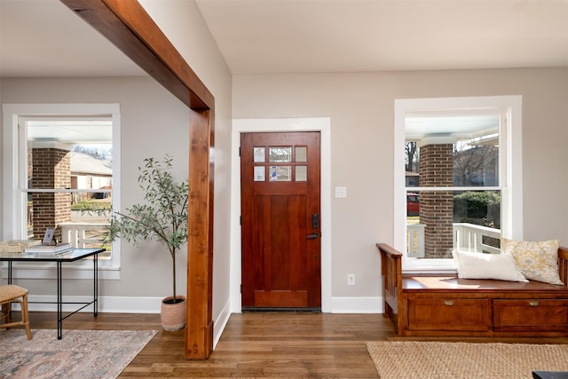 foyer entrance featuring wood finished floors, a wealth of natural light, and baseboards