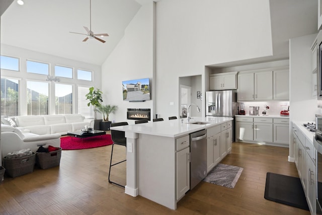 kitchen with stainless steel appliances, a sink, dark wood finished floors, open floor plan, and a glass covered fireplace