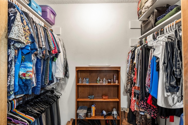 view of walk in closet